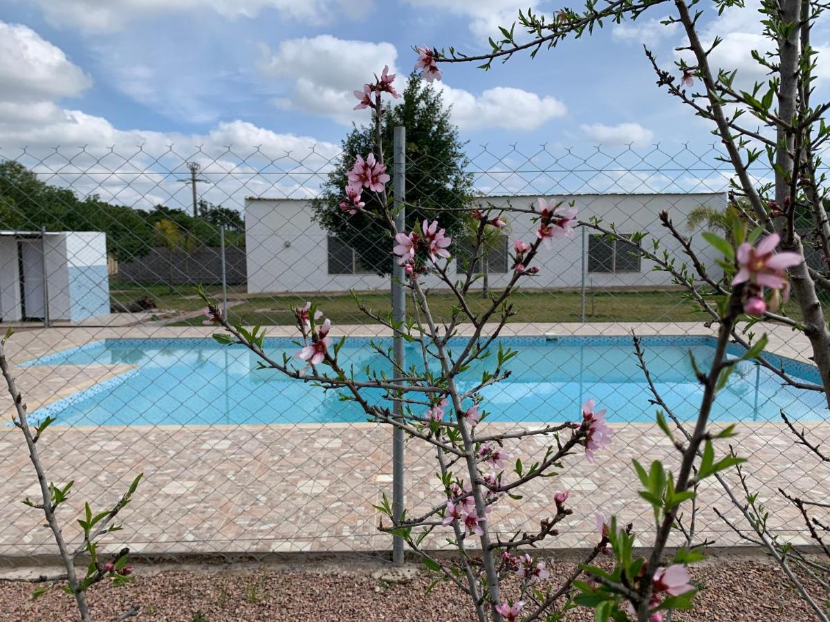 Palm Grove Farm Villa Tit Mellil ภายนอก รูปภาพ