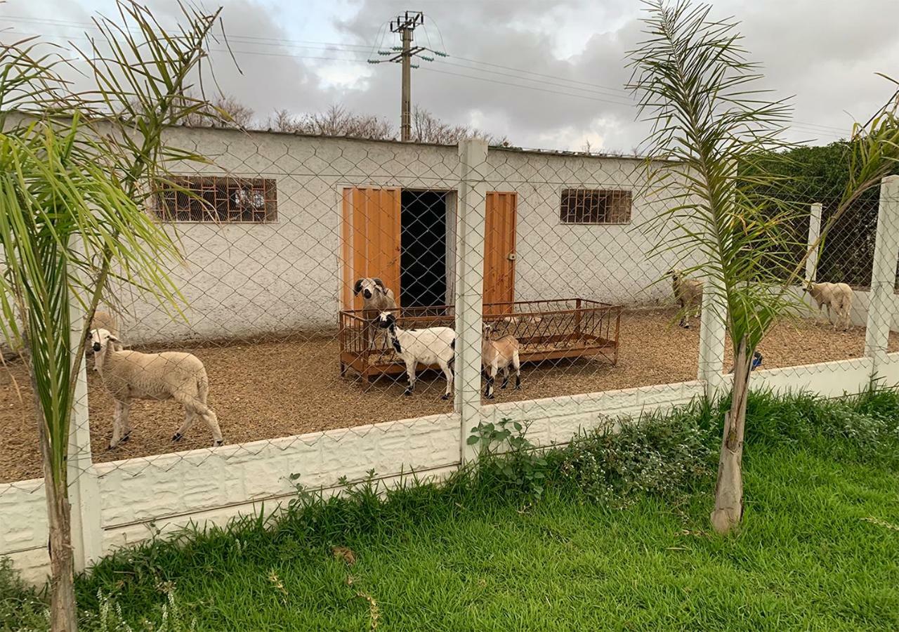 Palm Grove Farm Villa Tit Mellil ภายนอก รูปภาพ